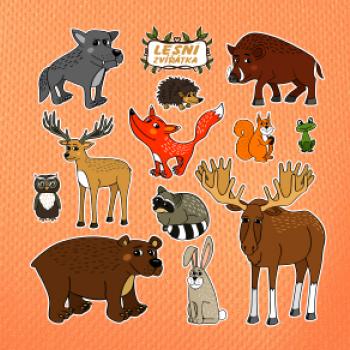 Lesní zvířátka