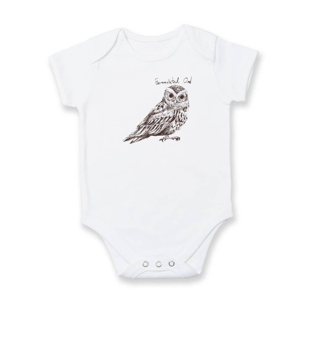Výreček plaménkový flammulated owl