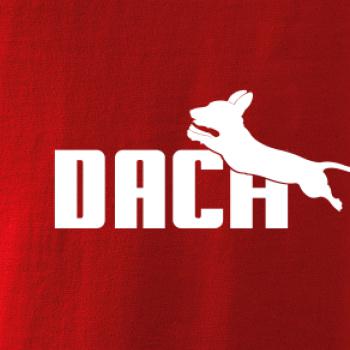 Jezevčík Dach Jezevčík Dach