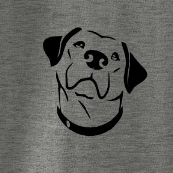 Labrador obrys