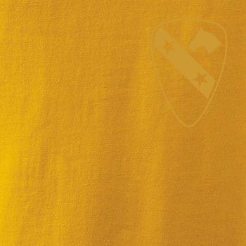 1st Cavalry Division hvězdy prsa zlatá