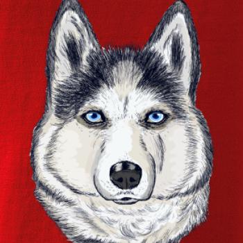 Husky hlava - kreslený