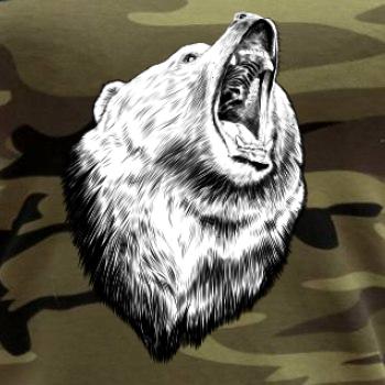 Medvěd trošku naštvaný