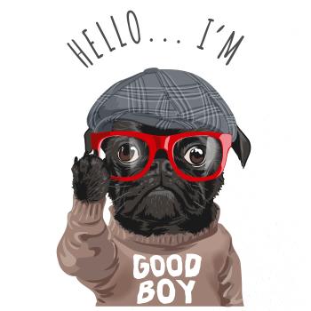 Mops - Hello I'm Good boy Mops - Hello I'm Good boy