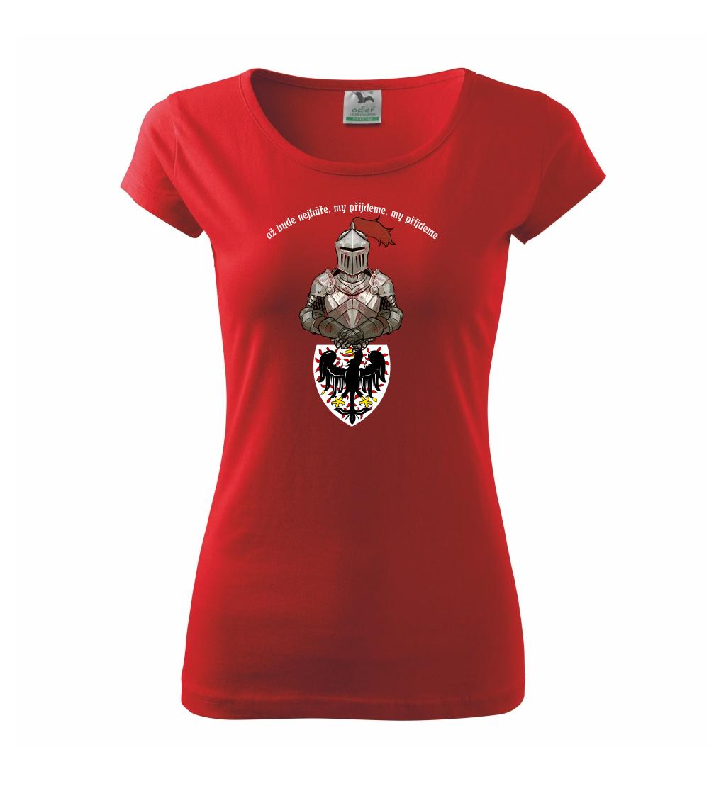 Až bude nejhůř, vlastenecké tričko