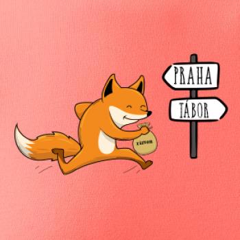 Běží liška k táboru