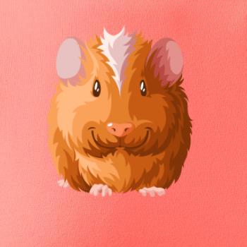 Morče - kreslené zepředu