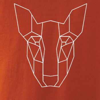 Americký Pit Bull Teriér - Geometrie