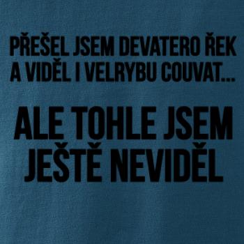 Viděl jsem velrybu couvat