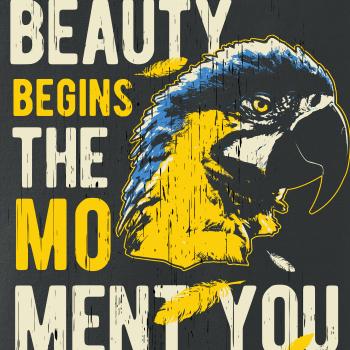 Bird macaw