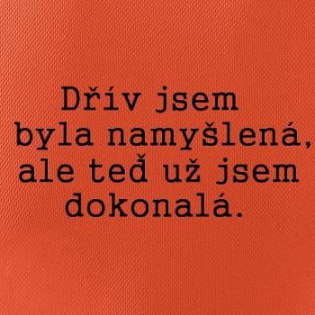 Jsem dokonalá