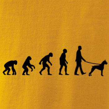 Evoluce pes boxer (muž-žena)