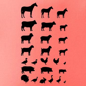 Zvířátka z vesnice