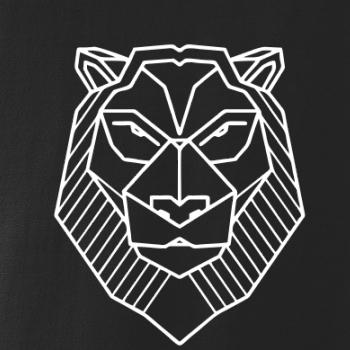 Geometrie - Lev