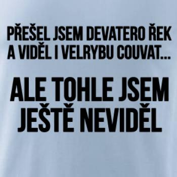 Viděl jsem velrybu couvat