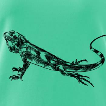 Tužkou kreslený Leguán 