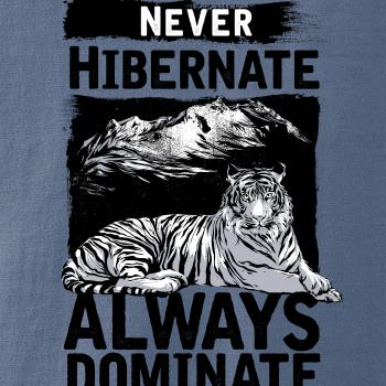 Never Hibernate