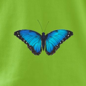 Motyl babočka Morpho Peleides