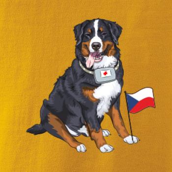 Pes záchranář bernský salašnický