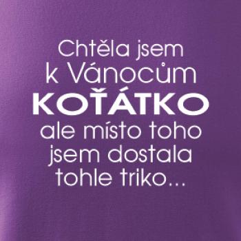 Chtěla jsem k Vánocům koťátko