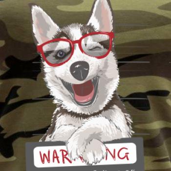 Husky - beware of dog