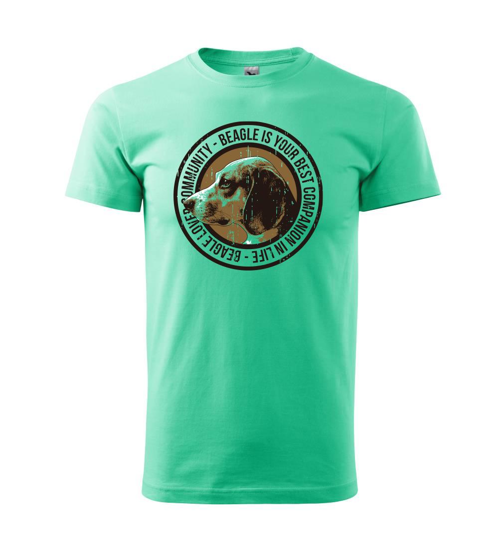 Dog beagle Dog beagle