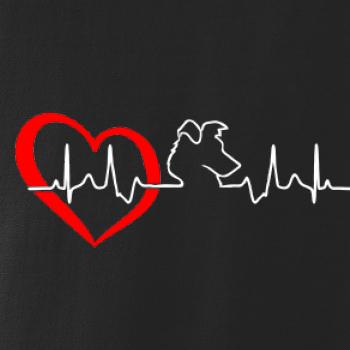 Border kolie EKG Border kolie EKG