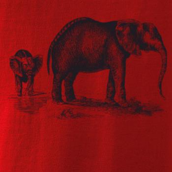 Slonice a slůně kreslené