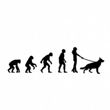 Evoluce pes Německý ovčák (muž-žena)