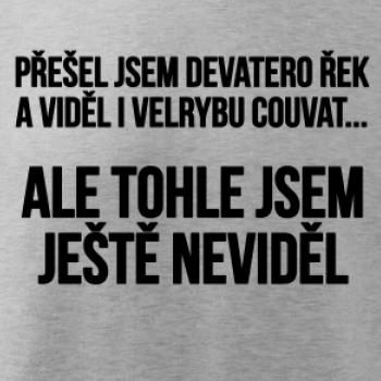 Viděl jsem velrybu couvat