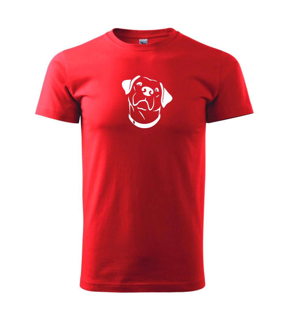 Labrador obrys Labrador obrys