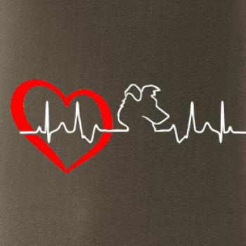 Border kolie EKG Border kolie EKG