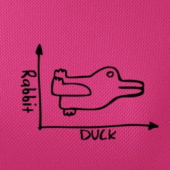 Duck Rabbit