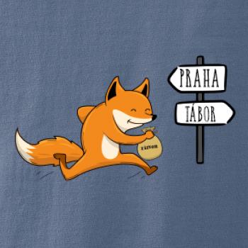 Běží liška k táboru