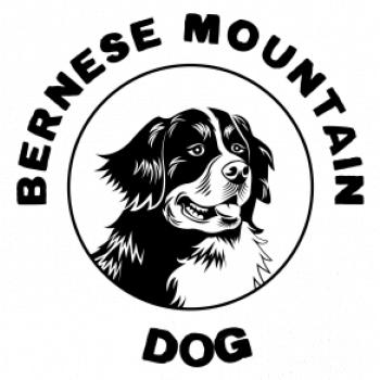 Bernese mountain dog v kruhu