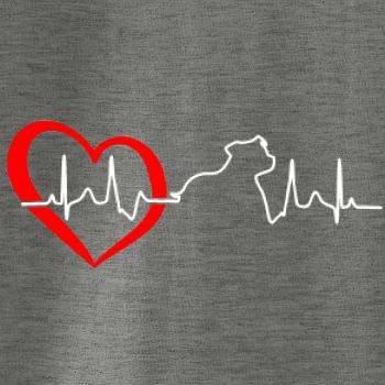 Stafordšírsky bulteriér EKG Stafordšírsky bulteriér EKG