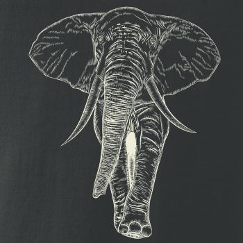 Slon v barvě slonové kosti