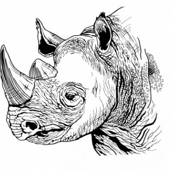 Nosorožec černobílý  (Pecka design)