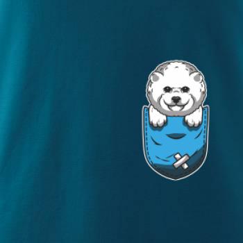 Bišonek v kapsičce