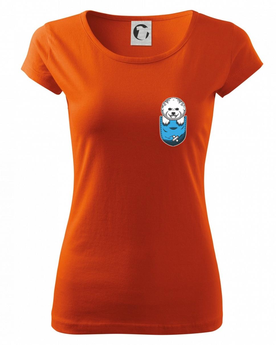 Bišonek v kapsičce