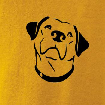 Labrador obrys