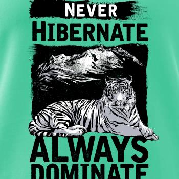 Never Hibernate