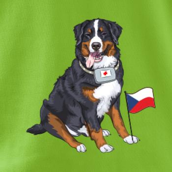 Pes záchranář bernský salašnický