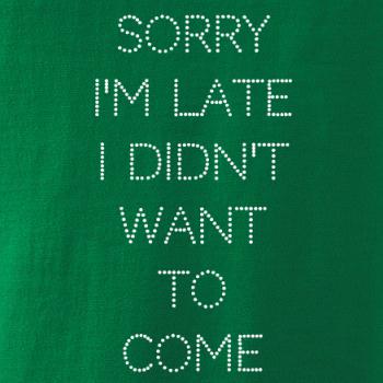 Sorry I am late i didn't want to come Sorry I am late i didn't want to come