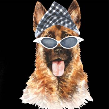 German shepherd se šátkem