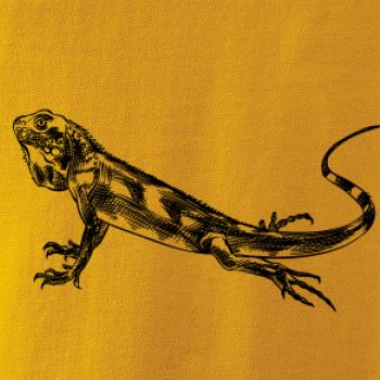 Tužkou kreslený Leguán 