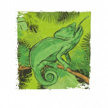 Chameleon na větvi