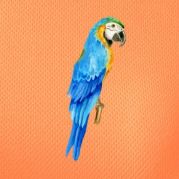 Ara modrá kreslená