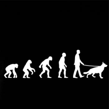 Evoluce pes Německý ovčák (muž-žena)