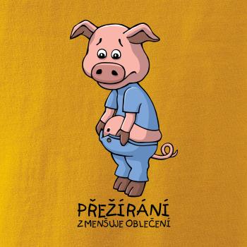 Přežírání zmenšuje oblečení (Hana-creative)